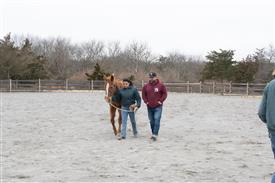 LR-2025-03-15 Retreat-1292
